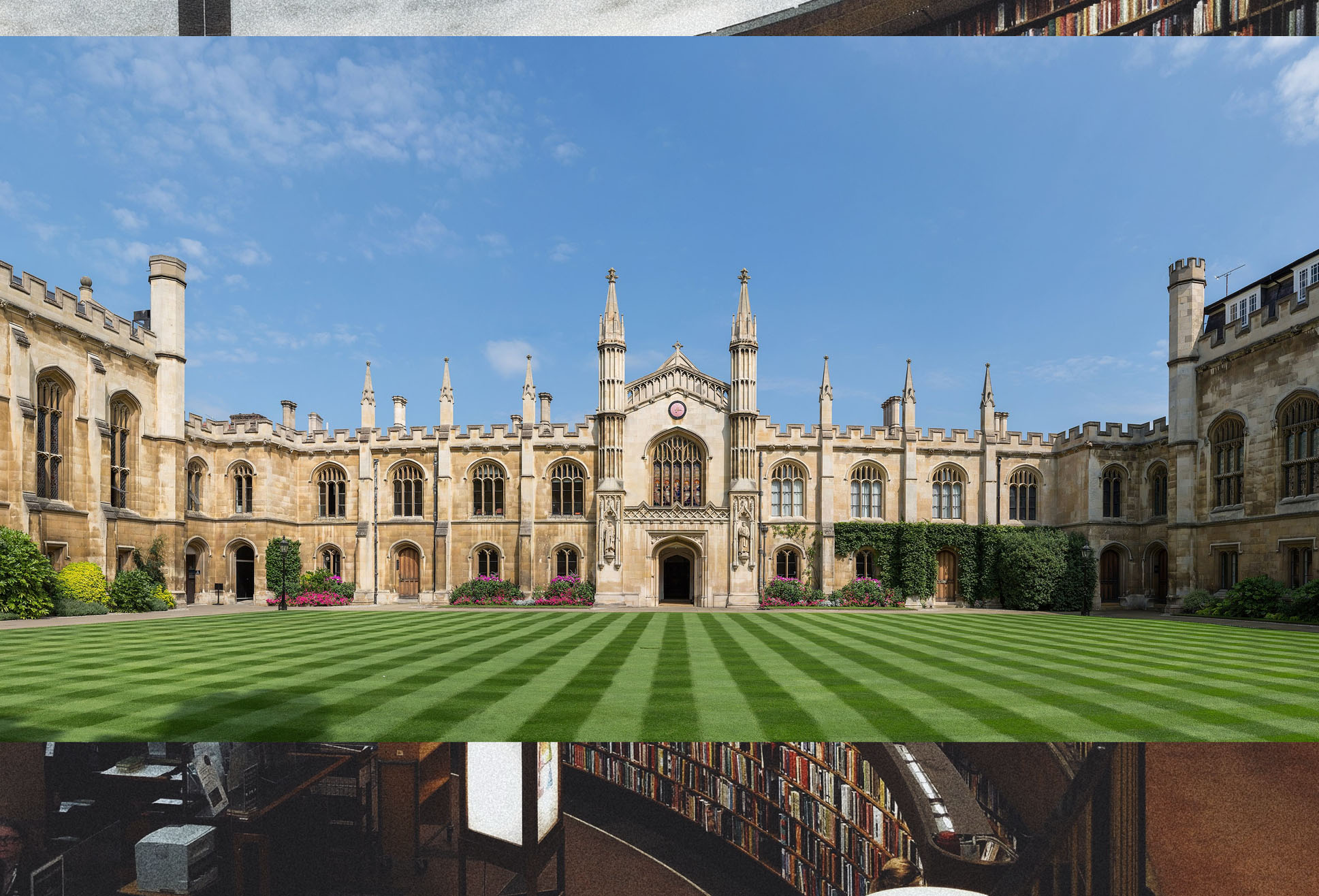 DLA A-Level online programs for university preparation