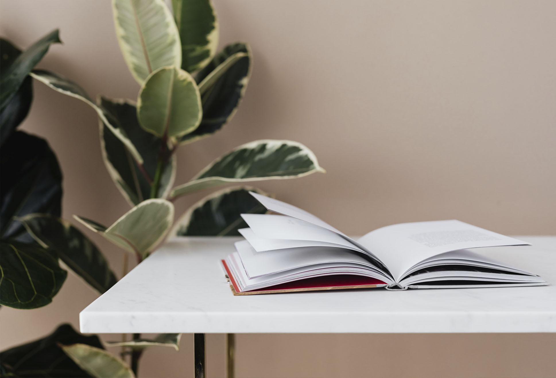 DLA International GCSE and A-Level course guide booklet